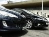 ������� Honda Civic ������ ��������������� Peugeot 308 - ���� 5